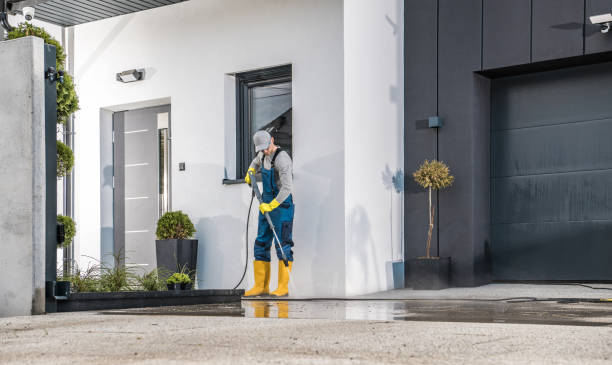 Best House Exterior Washing  in Pascagoula, MS